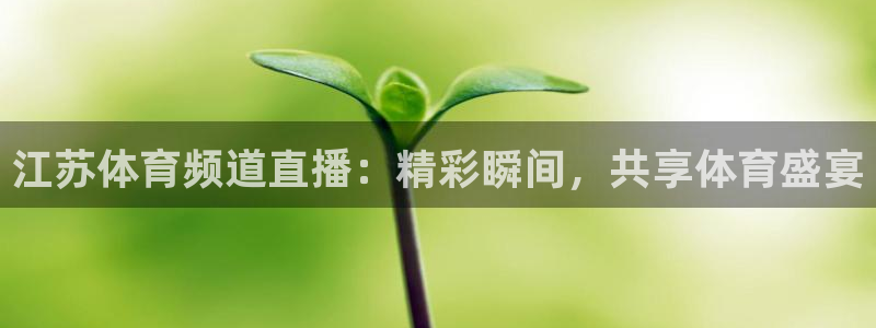 江苏体育频道直播：精彩瞬间，共享体育盛宴