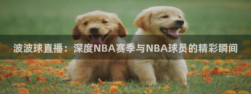 波波球直播：深度NBA赛季与NBA球员的精彩瞬间