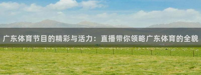 广东体育节目的精彩与活力：直播带你领略广东体育的全貌