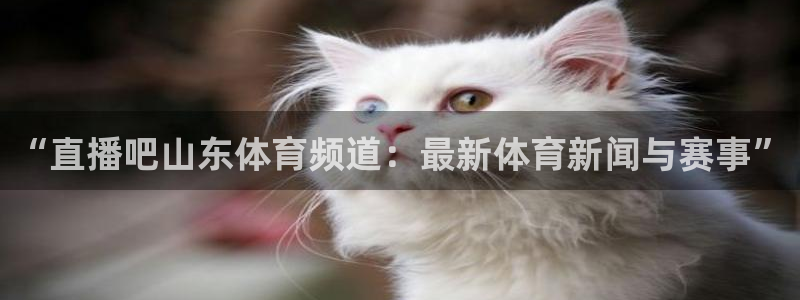 “直播吧山东体育频道：最新体育新闻与赛事”